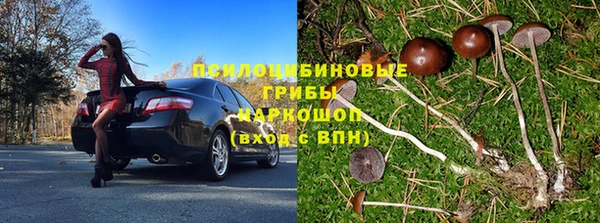 spice Абинск