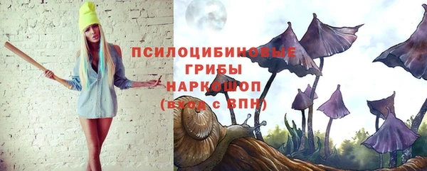 spice Абинск